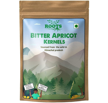 Bitter Apricot Kernels (Sourced from the wild in Himachal Pradesh)