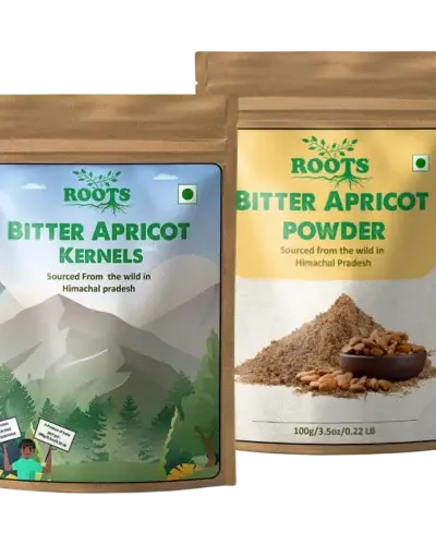 Bitter Apricot Kernels