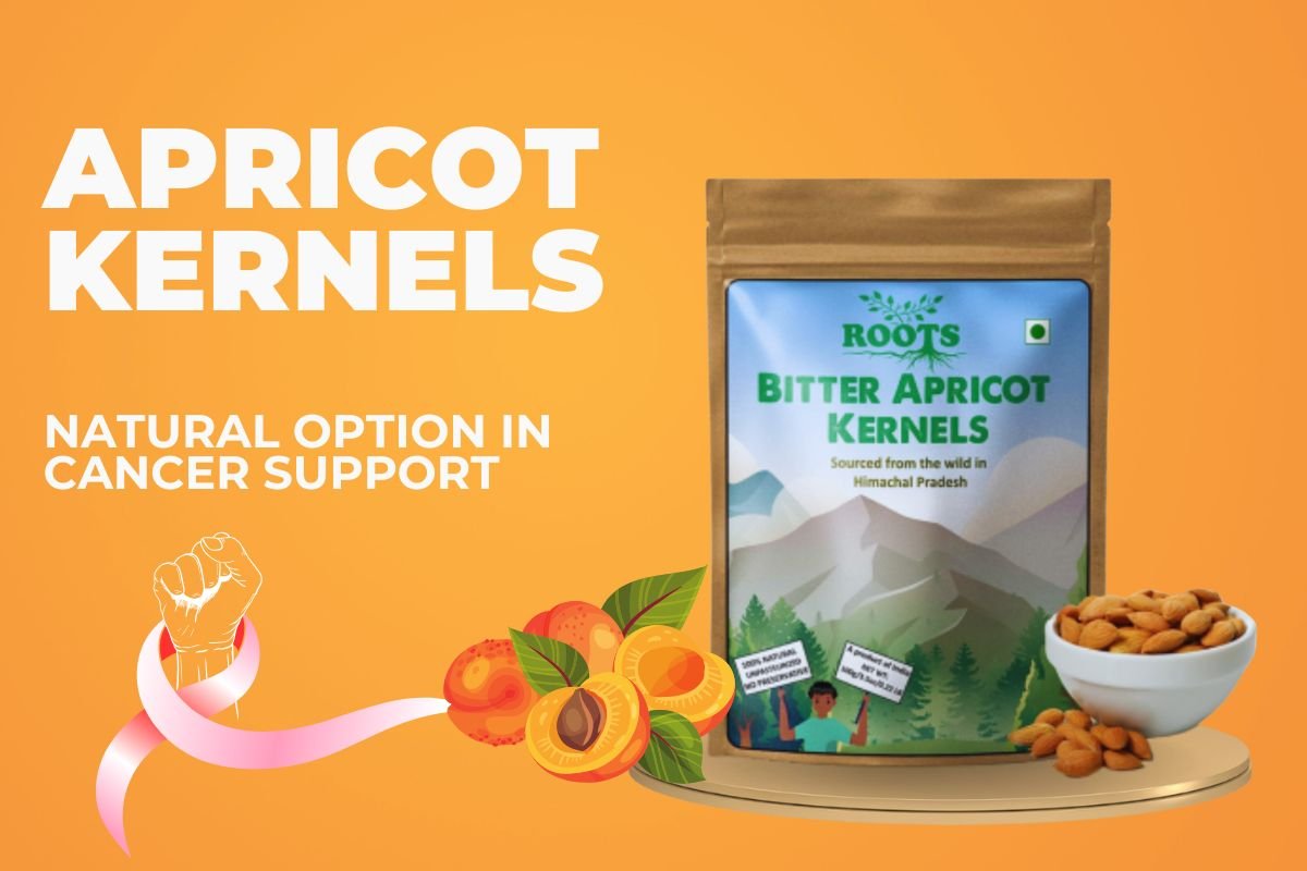 Apricot Kernels